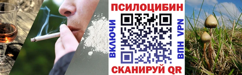 Галлюциногенные грибы GOLDEN TEACHER  Кунгур 